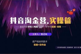 蟹老板《抖音淘金营实操篇》