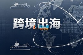 web出海《游戏网站实战课》