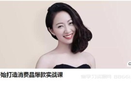 从 0 开始打造消费品爆款实战课