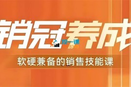 张译《销冠养成软硬兼备的销售技能课》