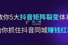 李才文《抖音营销操盘手》