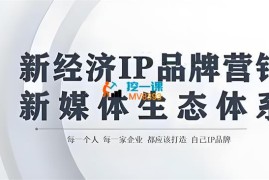 雨林《新经济IP品牌营销方法论》