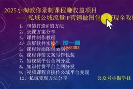 小淘《2025教你录制课程赚收益》