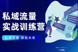 王伟《​私域流量实战营》