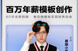 众筹：暴躁小枫·百万年薪模板创作