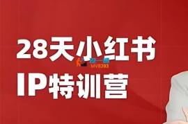 夏九九《28天小红书IP特训营》