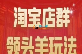 九栢米《淘宝店群领头羊玩法》