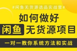 众筹：柯北·闲鱼无货源选品实战营