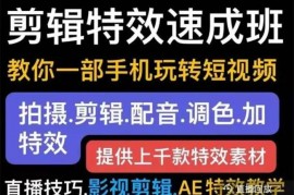 特效罗《剪映剪辑特效速成班》