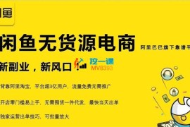 前程《闲鱼无货源电商》