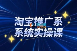 大海《淘宝推广系统实操课》