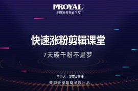 龙哥《千粉秘籍快速涨粉剪辑实操班》