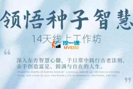 鹿大米《领悟种子智慧14天线上工作坊》
