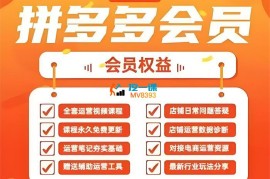 仙道电商《2025拼多多运营实战课》