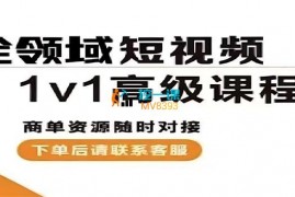 路人寒星星《全领域短视频高级课程》