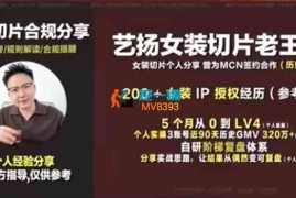 老王哥《女装切片实操教学》