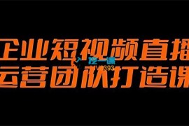 秦文《企业短视频直播运营团队打造课》