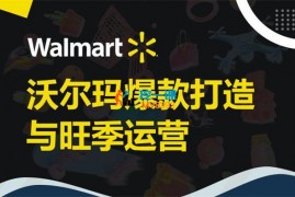 Ryan《沃尔玛爆款打造与旺季运营训练营》