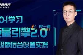 柯楠《从0-1学习巨量引擎2.0升级版》