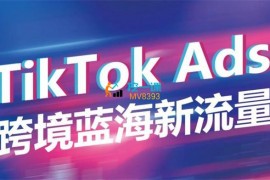 稳哥《如何投出高ROI的TikTok广告》