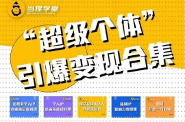 众筹：超级个体引爆变现合集