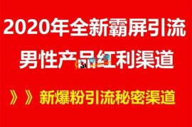 雨果：2020男性产品全新霸屏引流红利渠道