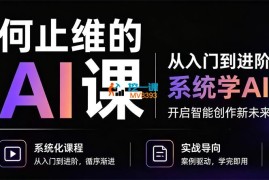 何止维《AI入门+进阶课》