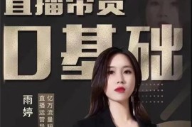 雨婷《服装直播运营落地实操课》