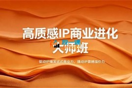 大表姐《高质感IP商业进化大师班》