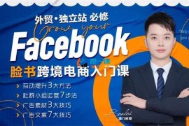 彬哥《Facebook跨境电商入门课》