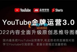 孟想《Youtube金牌运营直播训练营》