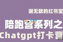 谢无敌《ChatGPT打卡营》