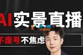 宝子哥《AI实景直播9月20日线下课录音+字幕》