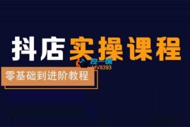 老高《抖店电商陪跑训练营》