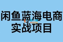 大飞《闲鱼蓝海电商实战》