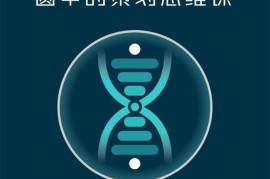 圆中《策划思维课》