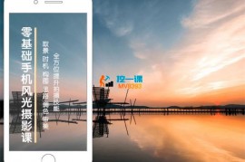王鹏鹏《零基础学会用手机拍出极致风光大片》