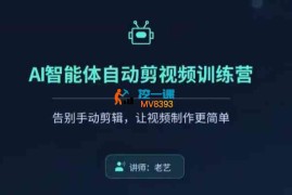 老艺《AI智能体自动剪视频训练营》