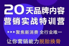 众筹：20天品牌内容营销实战特训营