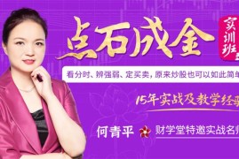众筹：何青平点石成金实训班