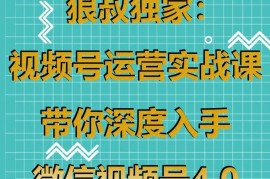 狼叔《微信视频号运营实战课4.0》