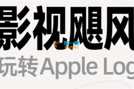影视飓风《玩转Apple Log》