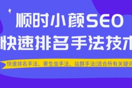 顺时小颜SEO快速排名手法技术教程、寄生虫手法、站群手法(适合所有关键词)