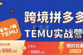 宋超《跨境拼多多temu实战营》