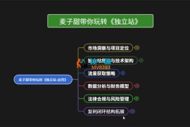 麦子甜《带你玩转独立站运营》