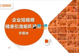许茹冰《企业短视频精准引流矩阵获客》