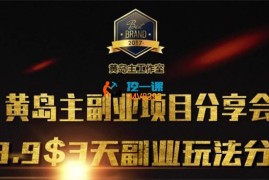 黄岛主《3天3个副业玩法分享》