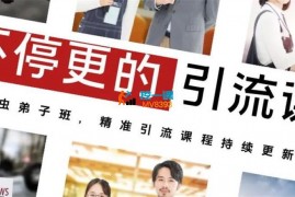 课虫《不停更的精准流量课》