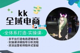 KK《全域电商实操课》