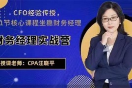 众筹：汪小平·财务经理实战营